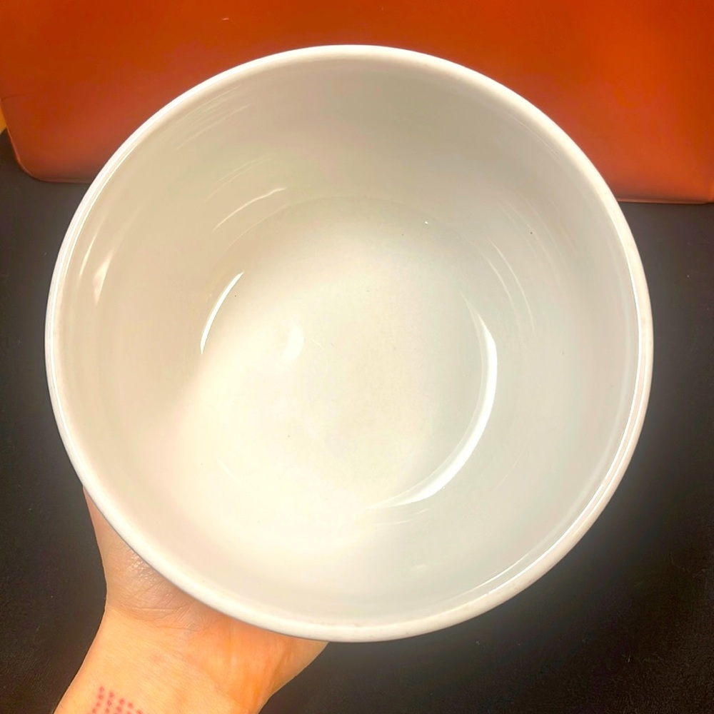 Today’s Home dishwasher and microwave safe bowl